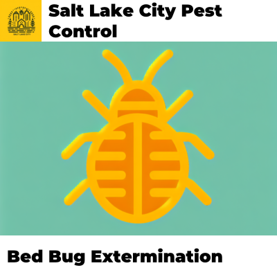 Bed Bug Extermination